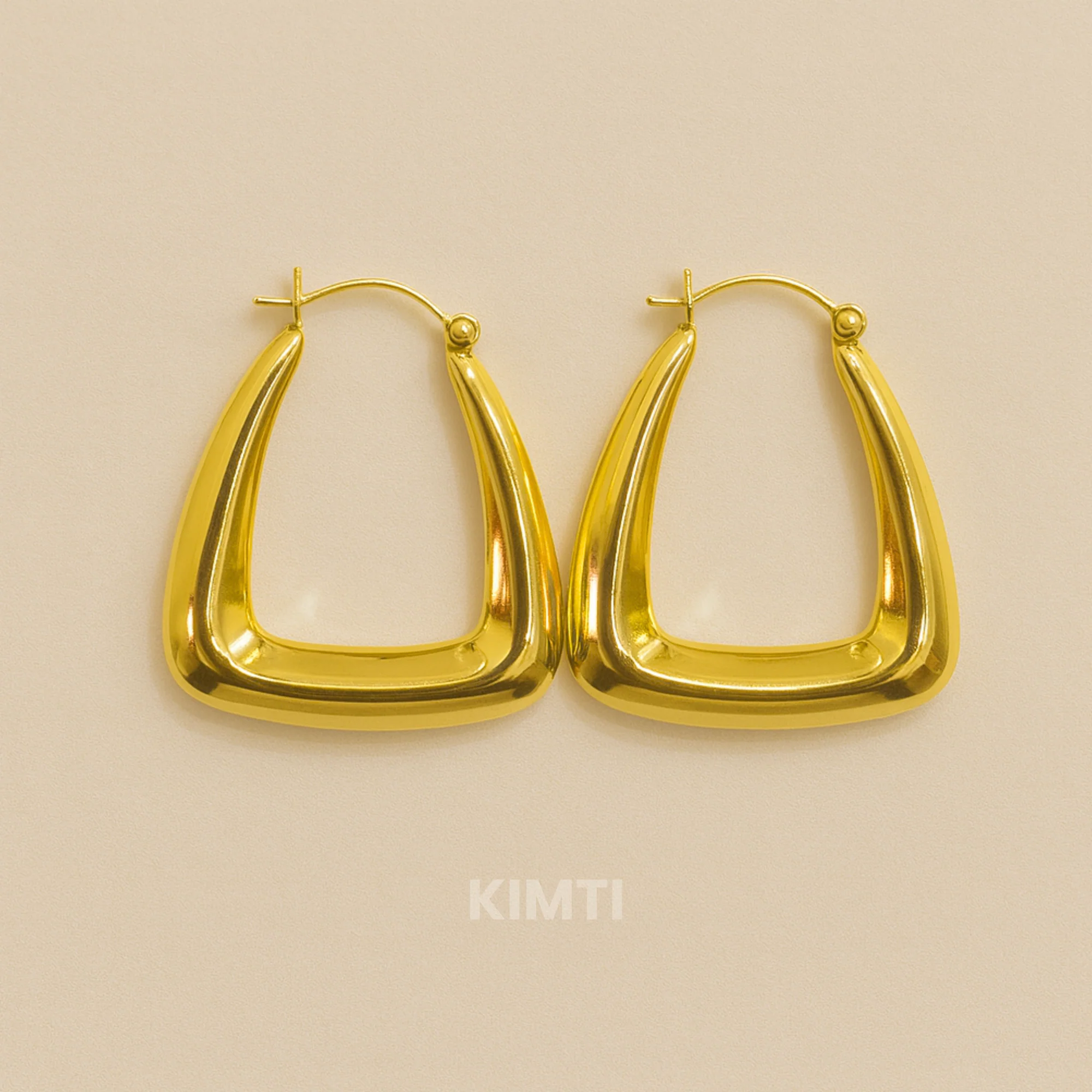 18k Gold Plated Gleam Frames Hoops Earring